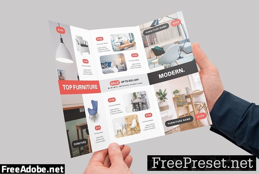 Modern Furniture Trifold Brochure