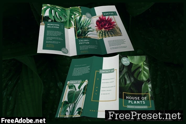 Modern Green Planting - Brochure SNKW6Z6