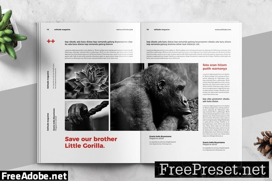 Modern Swiss Style Magazine Template Q54M46C