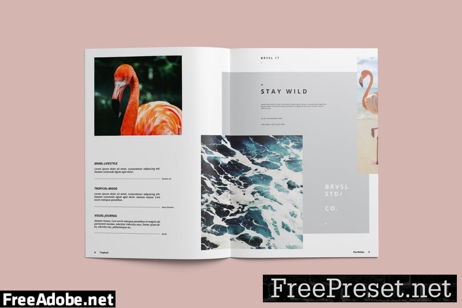 Multipurpose Portfolio Brochure Template