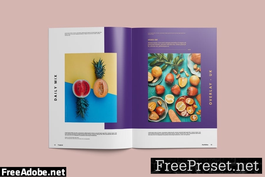 Multipurpose Portfolio Brochure Template