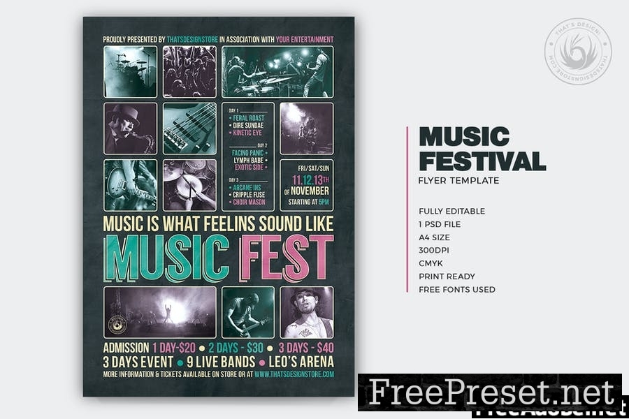 Music Festival Flyer Template V8