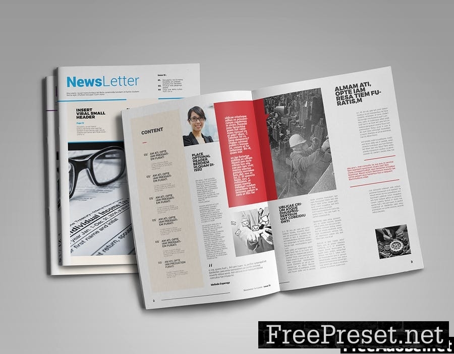 Newsletter Template NM84558