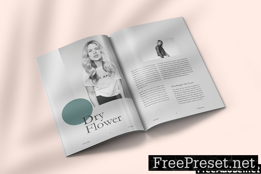 Olesya - Magazine Template Indesign PWXLBXR