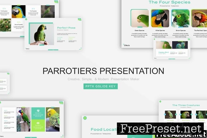 Parrotiers Presentation Template 2DDD2UV