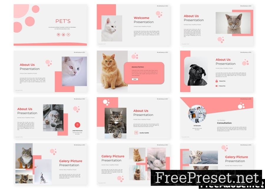 Pets - Presentation Template