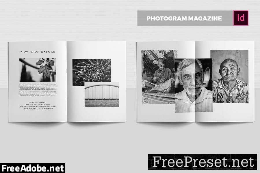 Photogram | Magazine