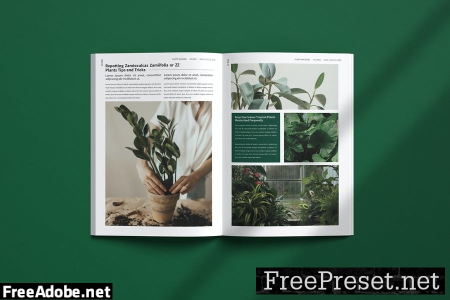 Plantmagz - Magazine