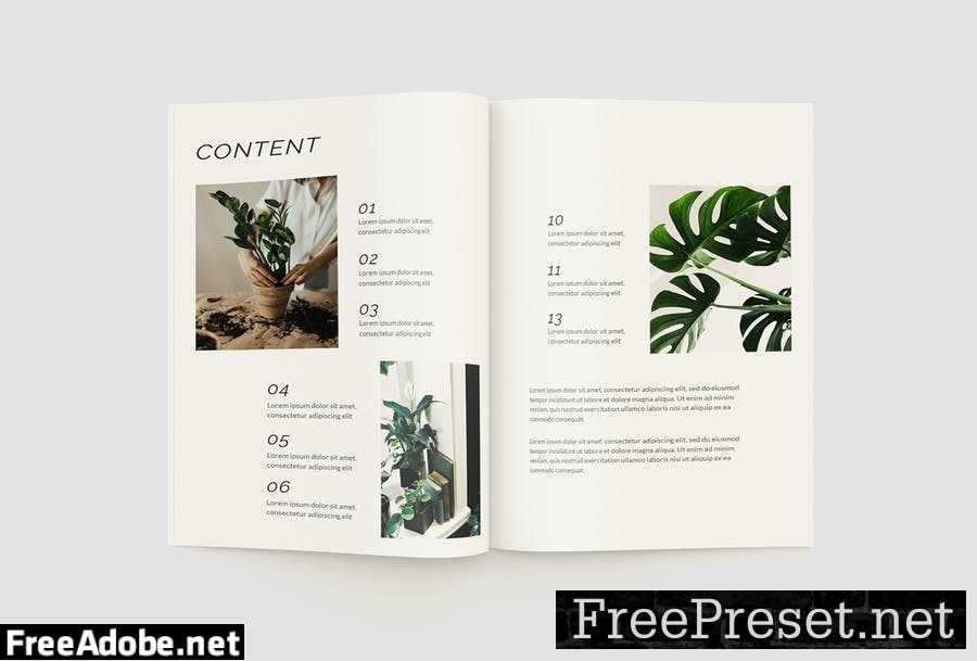 Plants Magazine ZSMZWQZ