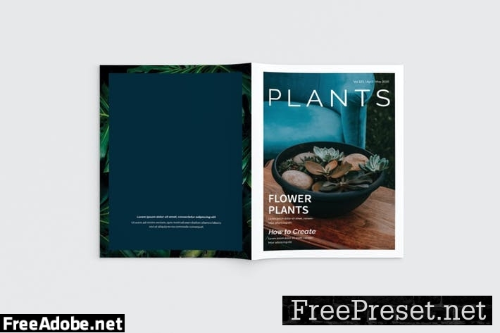 Plants Magazine ZSMZWQZ