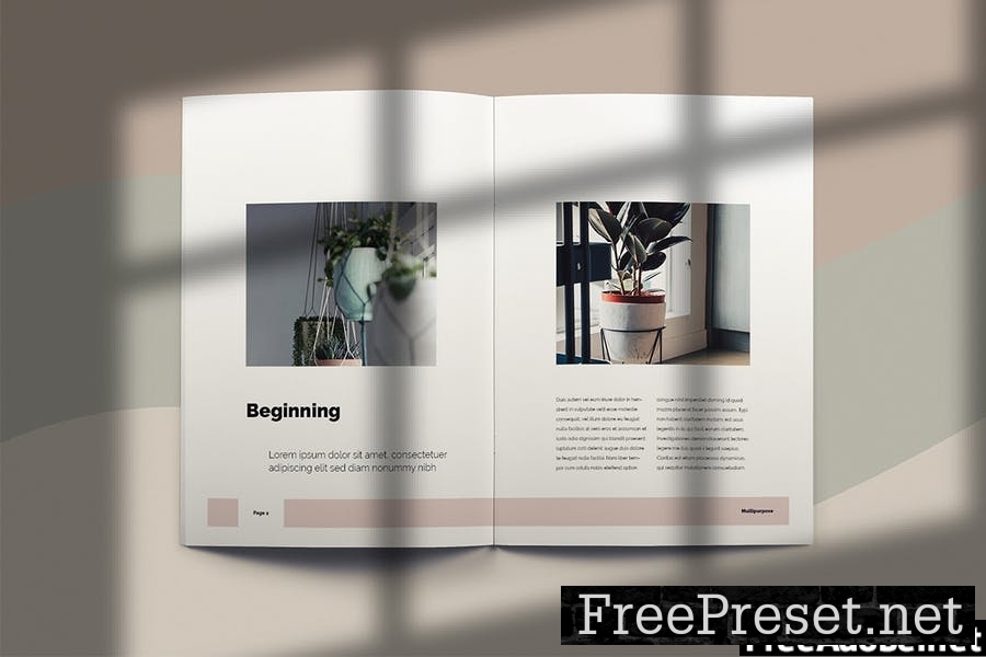 Pop Green - Brochure Template Indesign