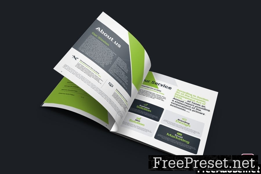 Professional Brochure