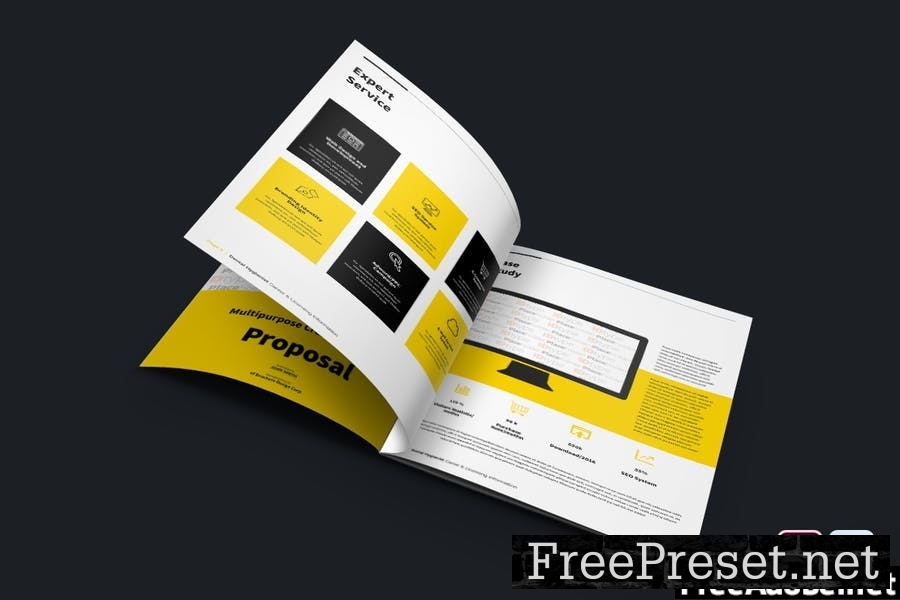 Professional Brochure