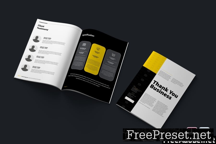 Professional Brochure