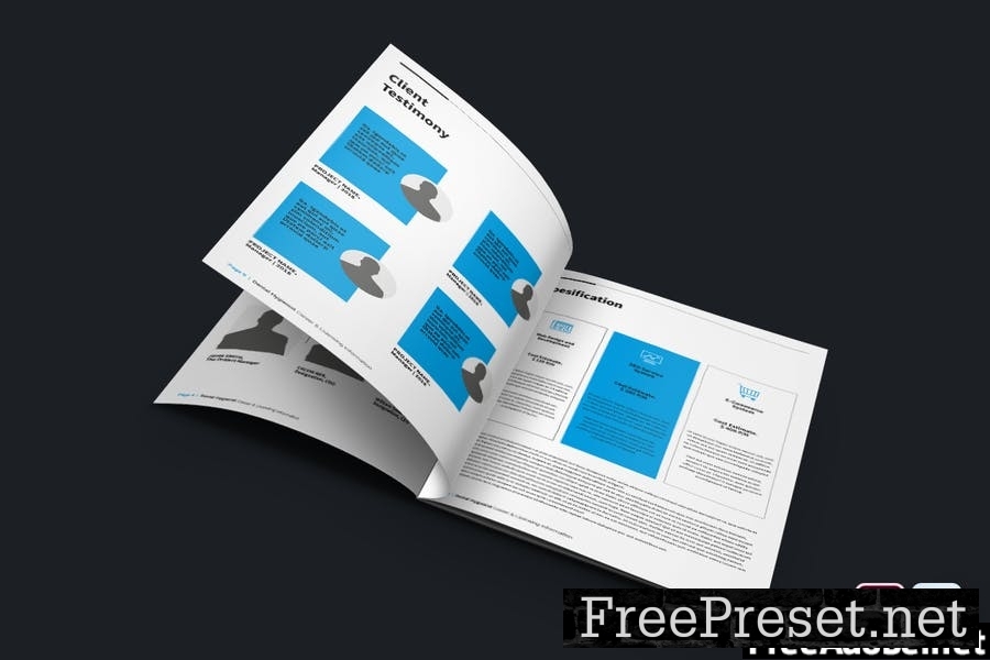 Professional Brochure Template