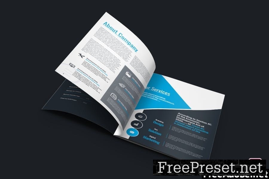 Professional Brochure XCGMDY2