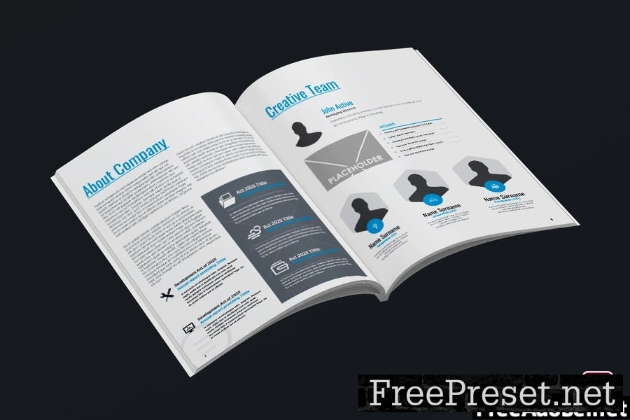 Professional Brochure XCGMDY2