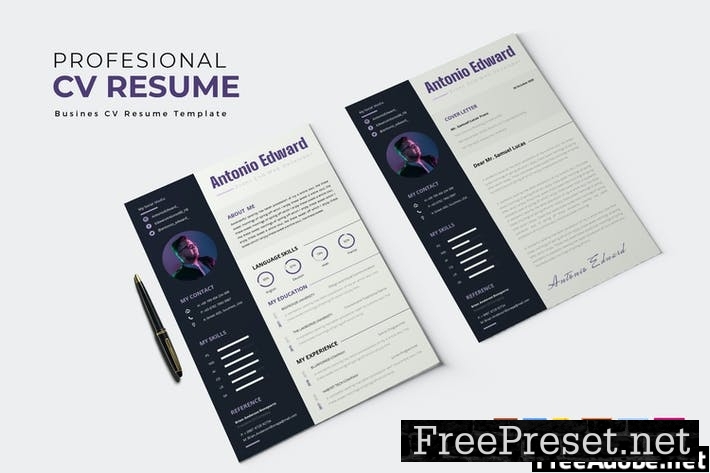 Professional Developer | CV & Resume KFW394W