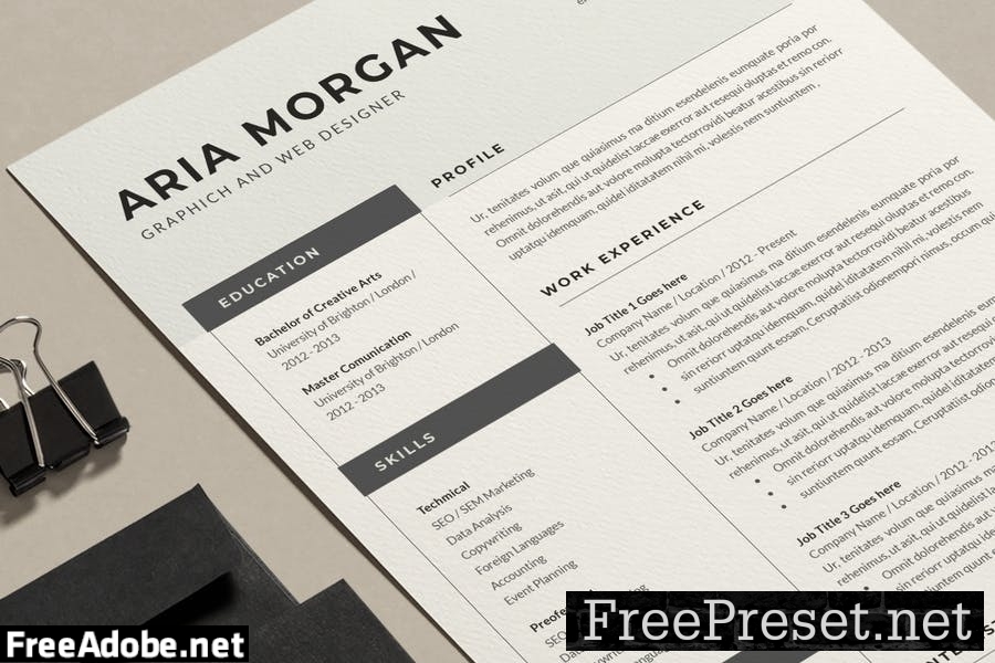 Professional Resume Template 79XDUV8