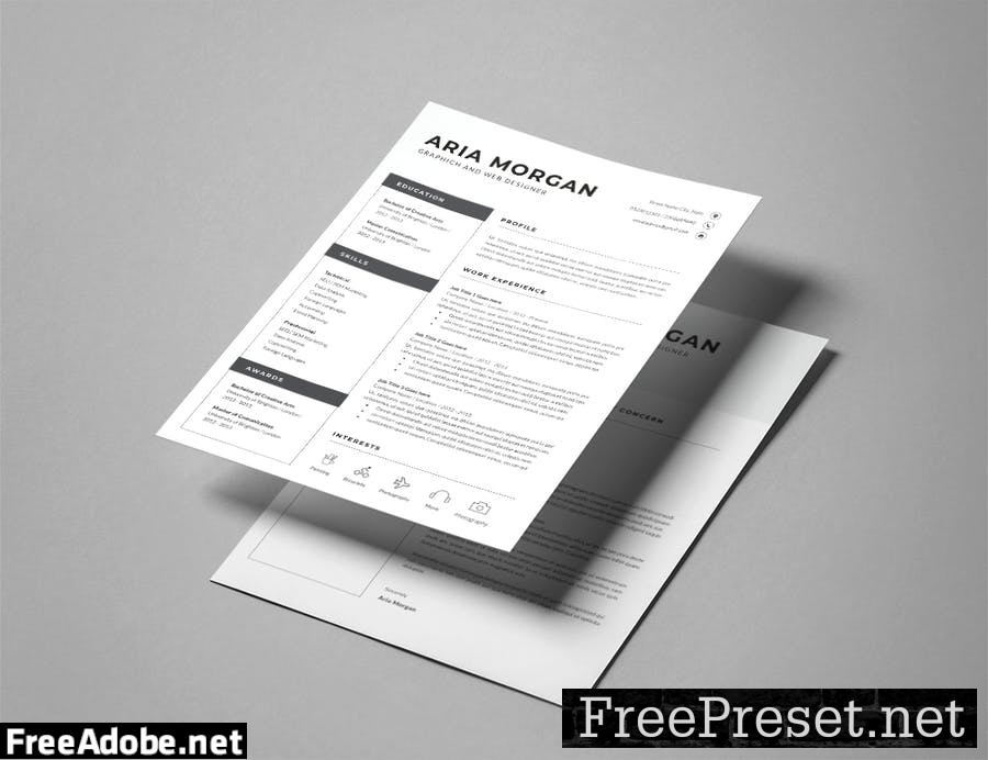 Professional Resume Template 79XDUV8