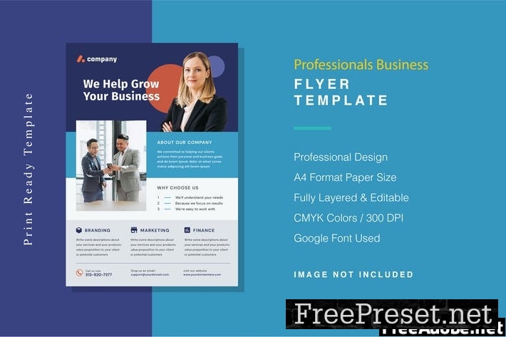 Professionals Business Flyer Template 5DCVN7X