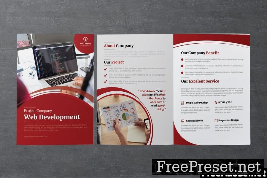 Project Development Bifold Brochure