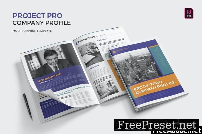 Project Pro | Company Profile GSVESQP