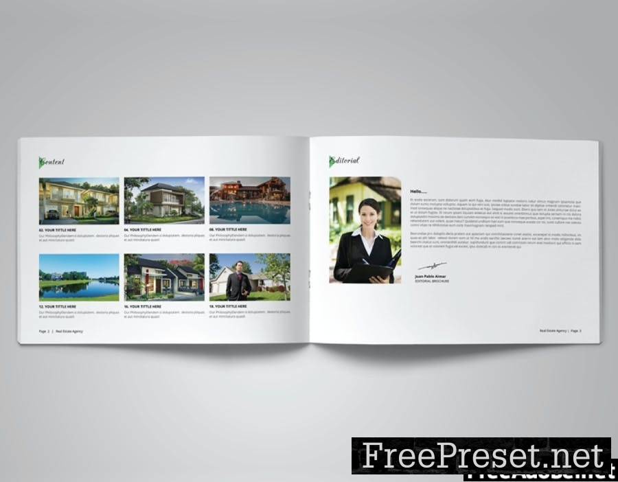 Real Estate Agency Brochure