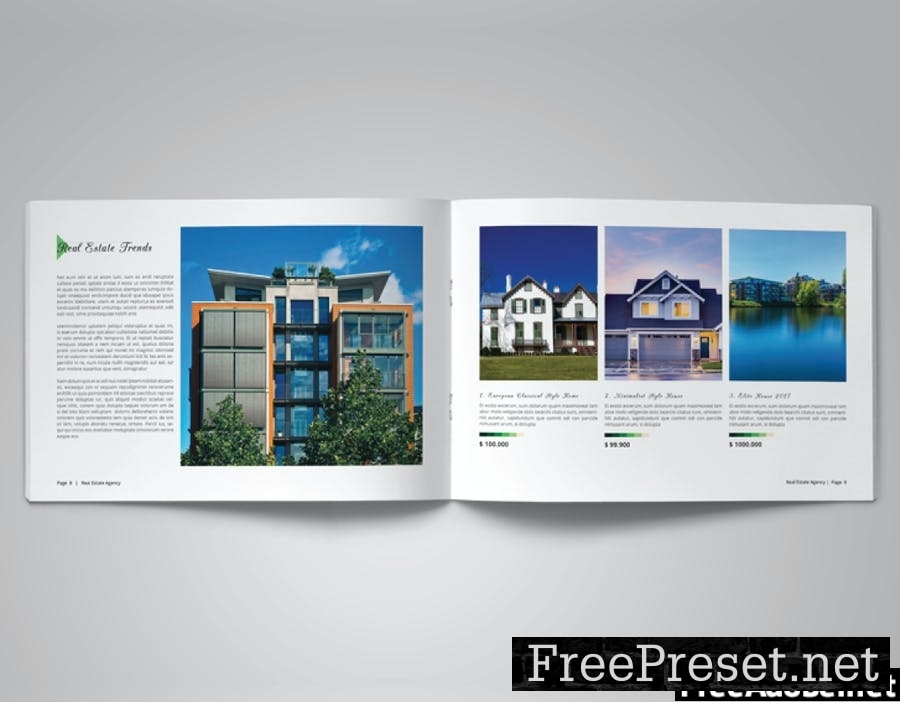 Real Estate Agency Brochure