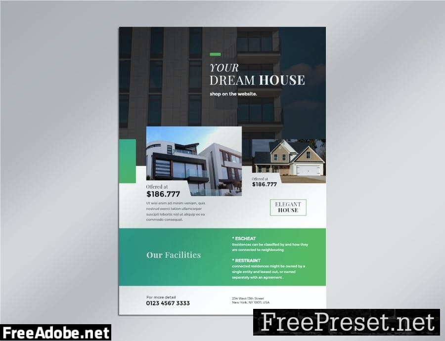 Real Estate Flyer 01