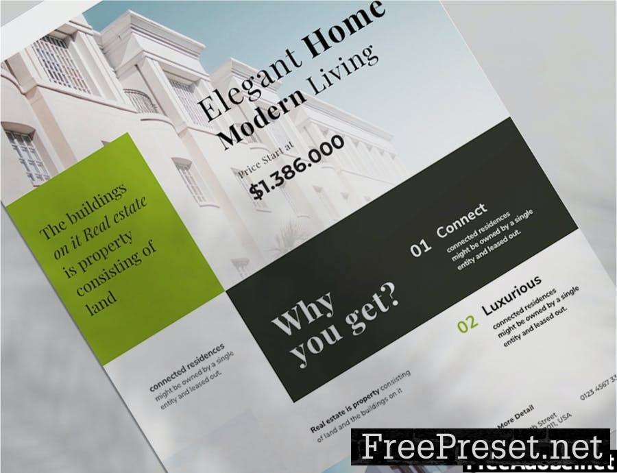 Real Estate Flyer 08