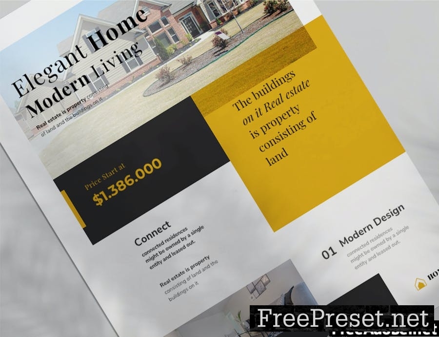 Real Estate Flyer 11