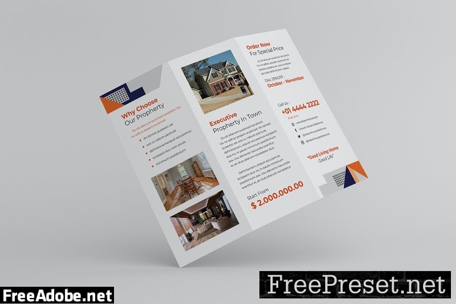 Real Estate Trifold Brochure