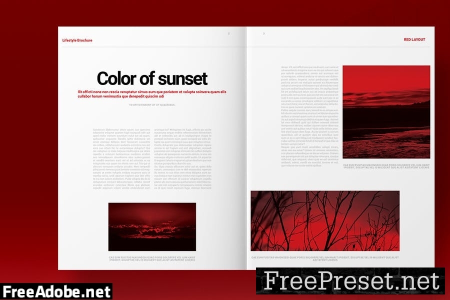 Red Brochure Template