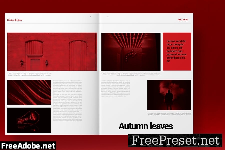 Red Brochure Template