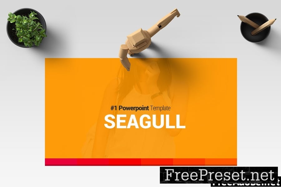 SEAGULL Google Slides S8C9PU