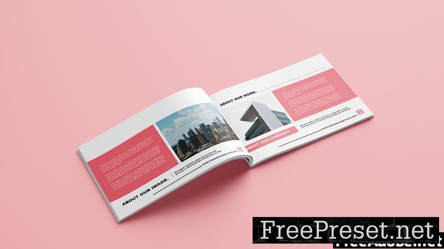 Search Modern Business Brochure - Landscape