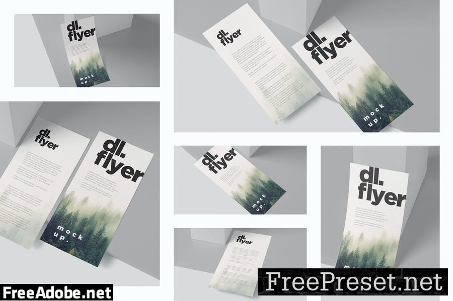 Single Page DL Flyer Mockups 8CE4ZYB