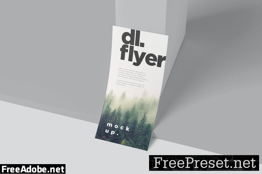 Single Page DL Flyer Mockups 8CE4ZYB