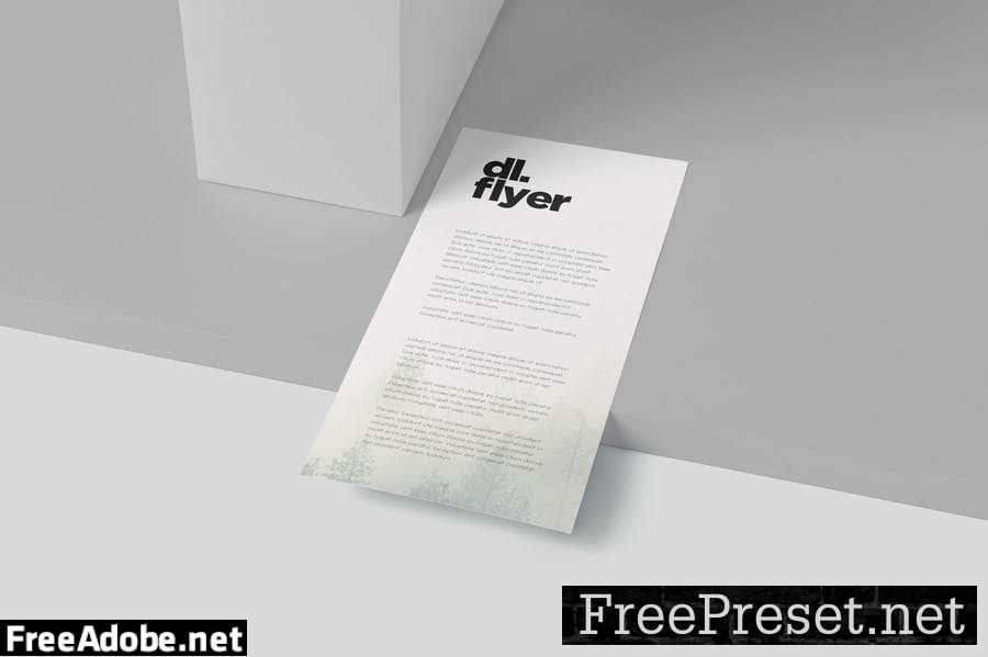 Single Page DL Flyer Mockups 8CE4ZYB