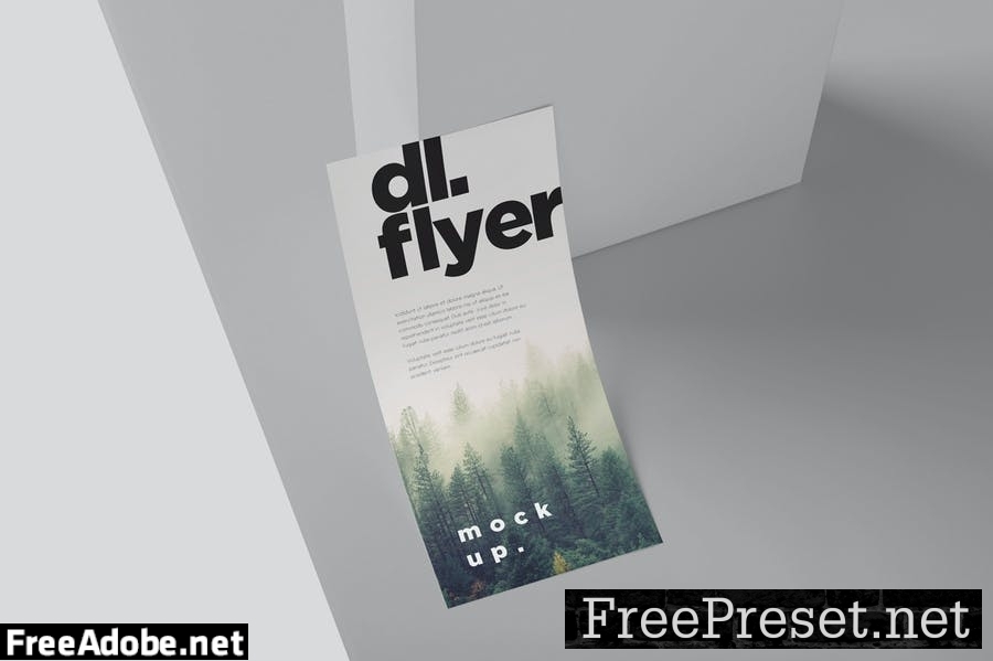 Single Page DL Flyer Mockups 8CE4ZYB