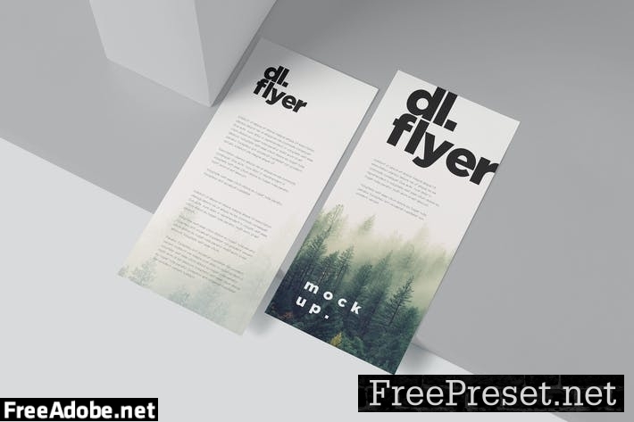 Single Page DL Flyer Mockups 8CE4ZYB