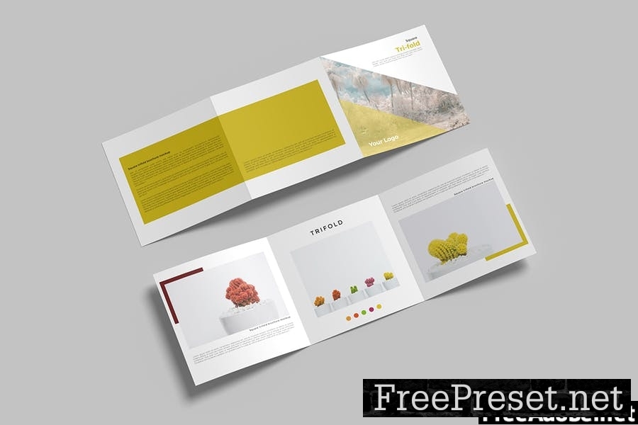 Square Trifold Brochure Mockup V.2