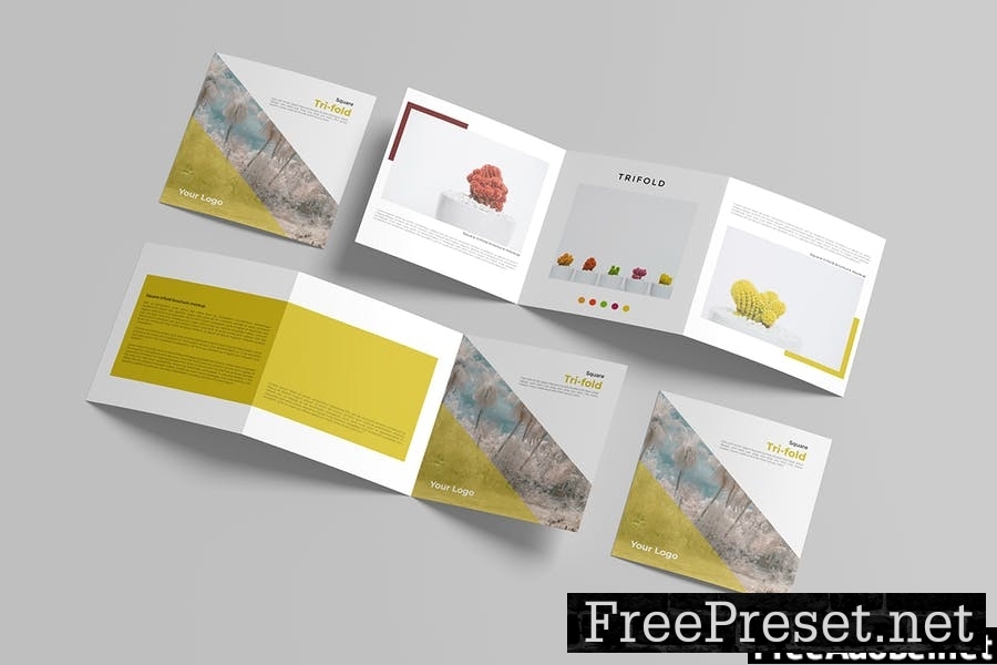 Square Trifold Brochure Mockup V.2