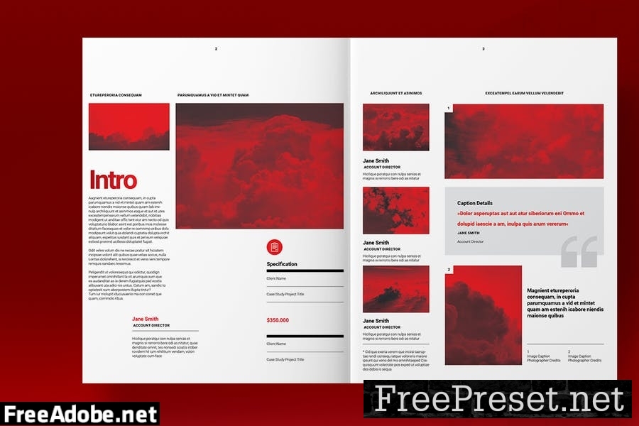 Swiss Style Brochure Template 24D62F8