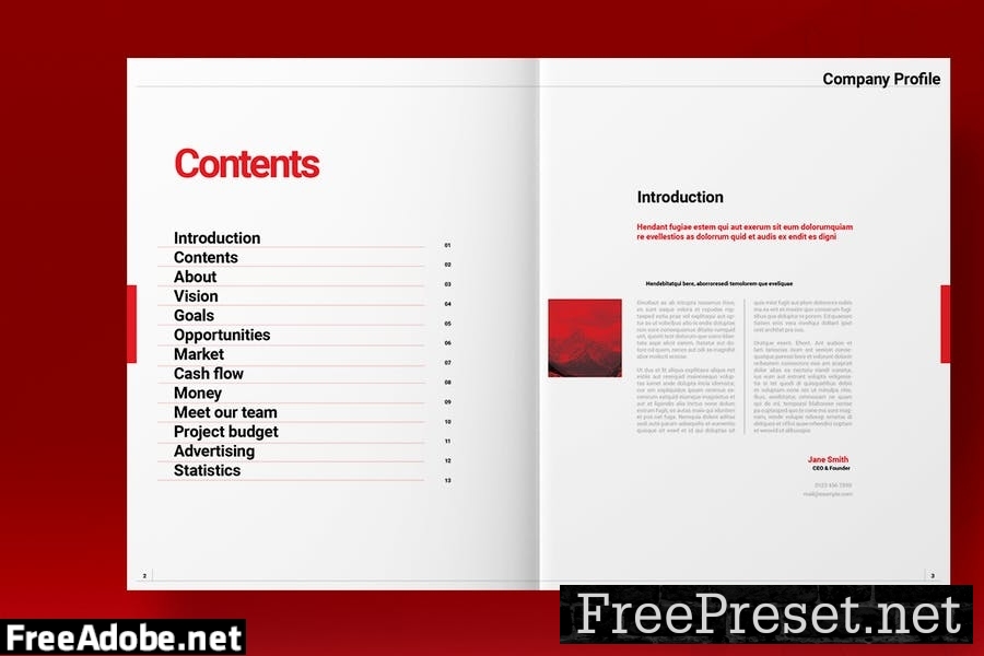 Swiss Style Brochure Template ZA3853C