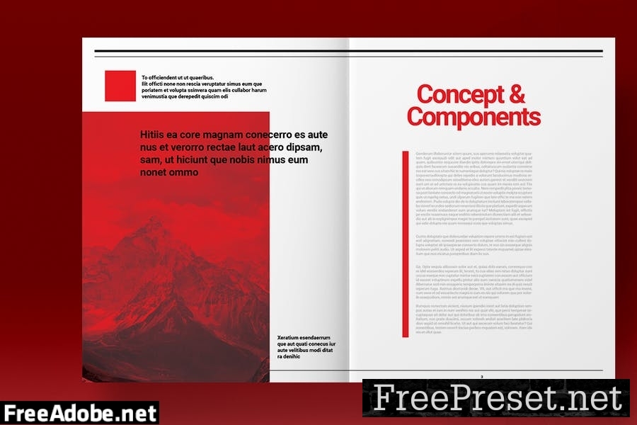 Swiss Style Magazine Template E4TA8VF