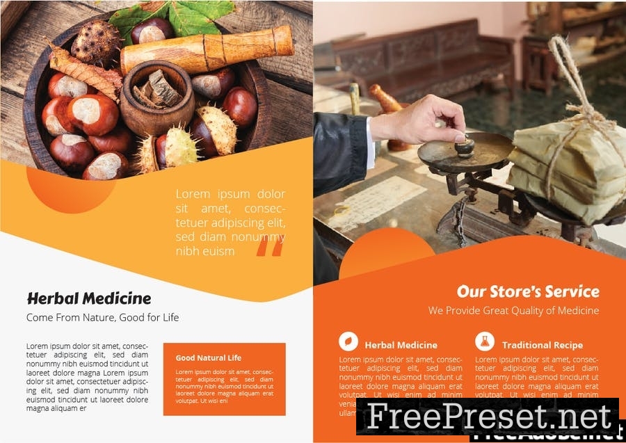 Traditional Medicine Brochure