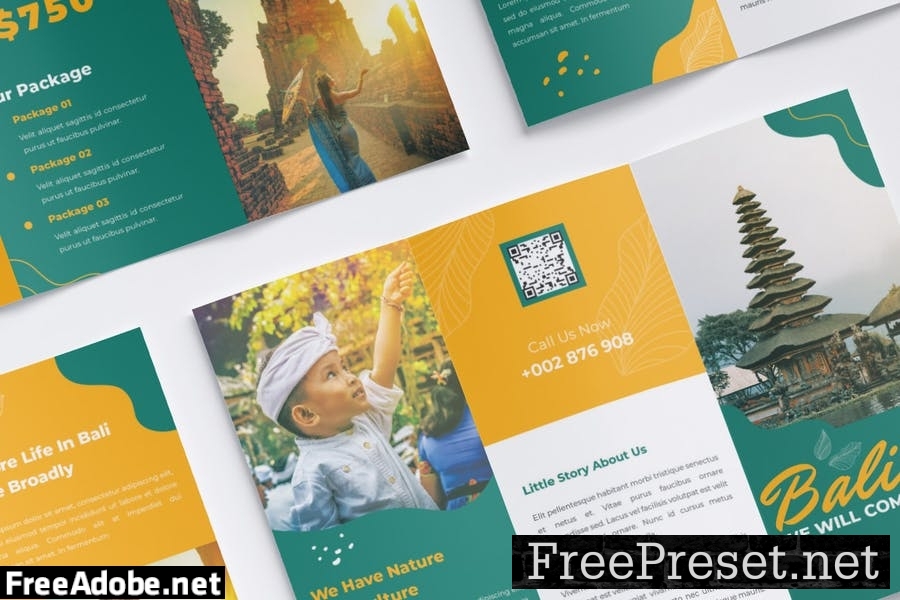 Travel Package Trifold Brochure