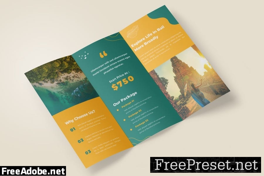 Travel Package Trifold Brochure